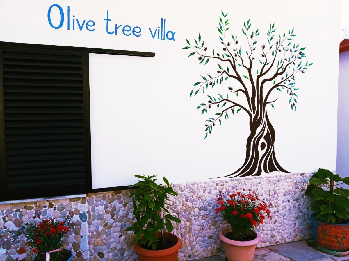 Olive Tree *