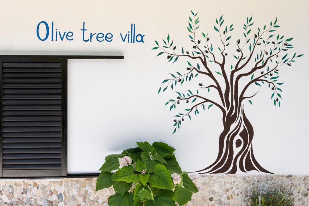 Olive Tree Лигия