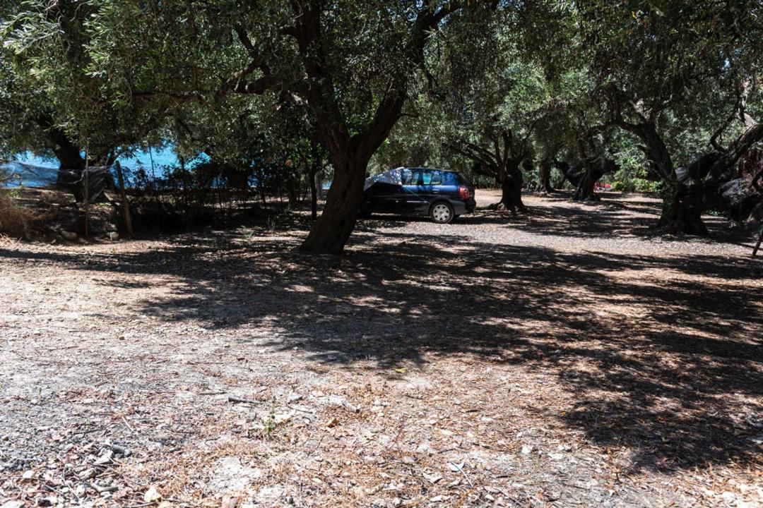 Olive Tree Holiday home *