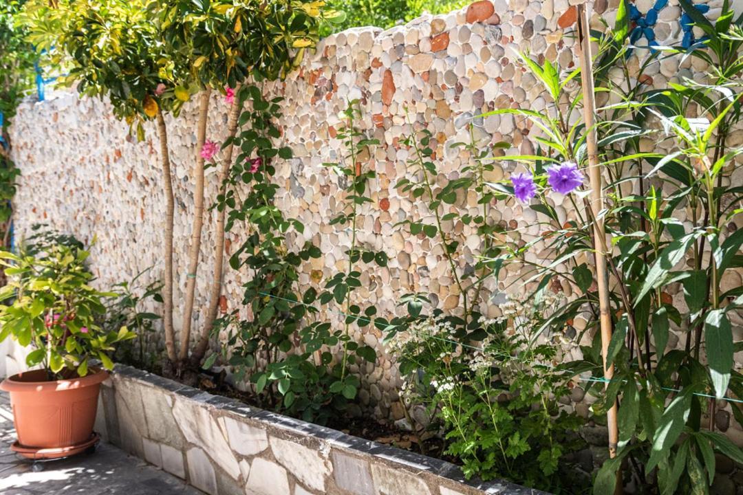 Olive Tree Лигия
